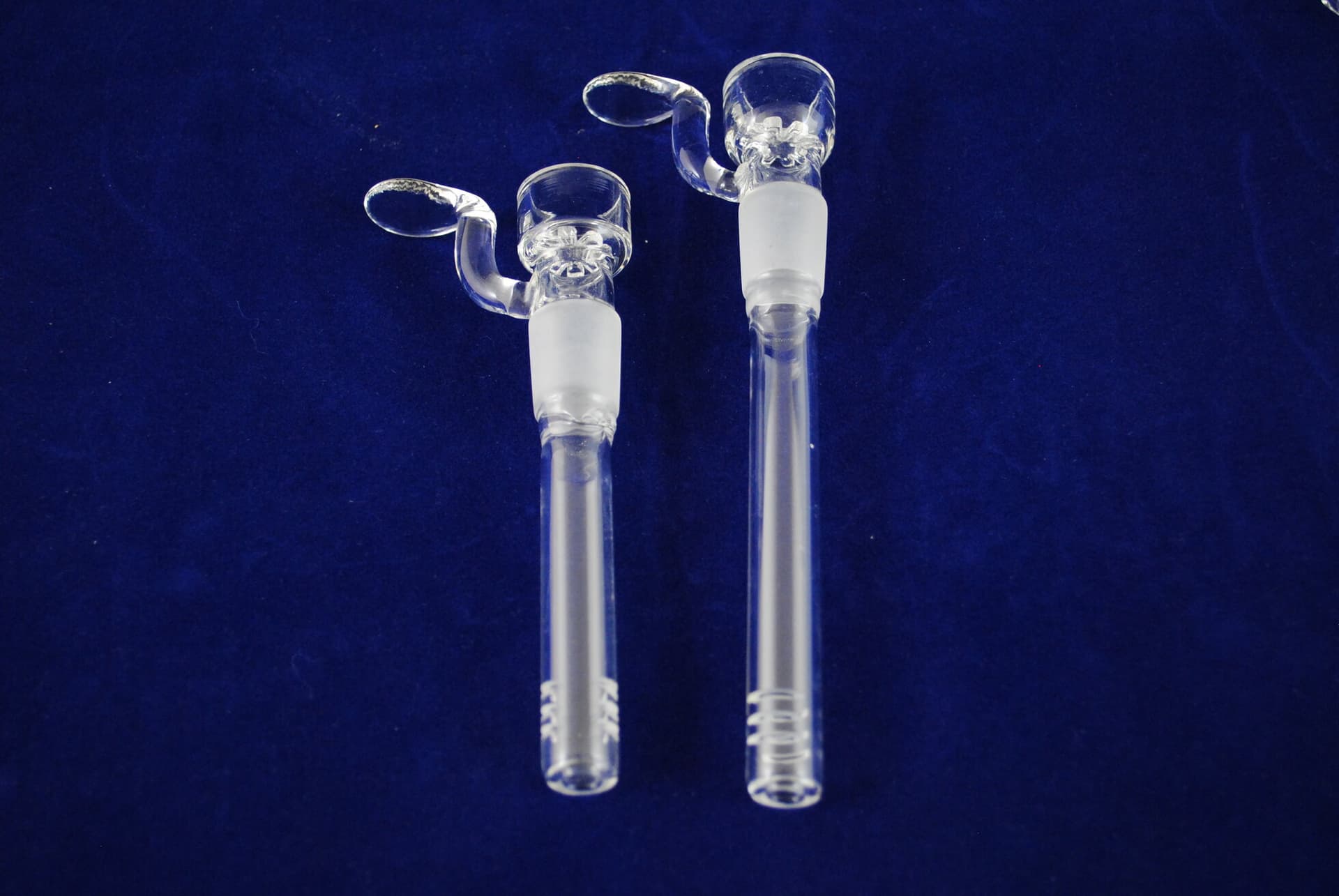BS002-C19